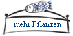 mehr Pflanzen